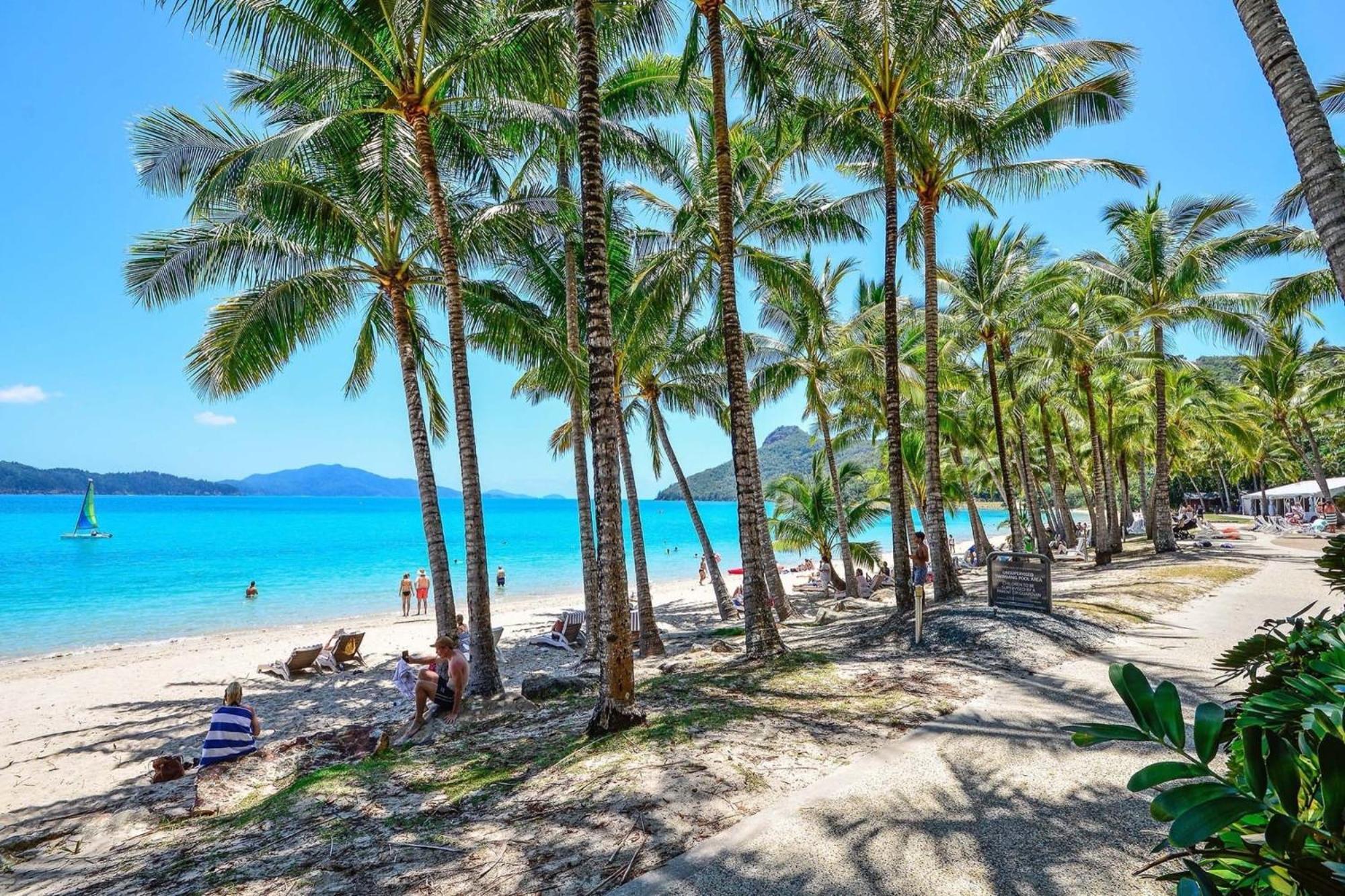 Beachfront Hamilton Island Exteriör bild