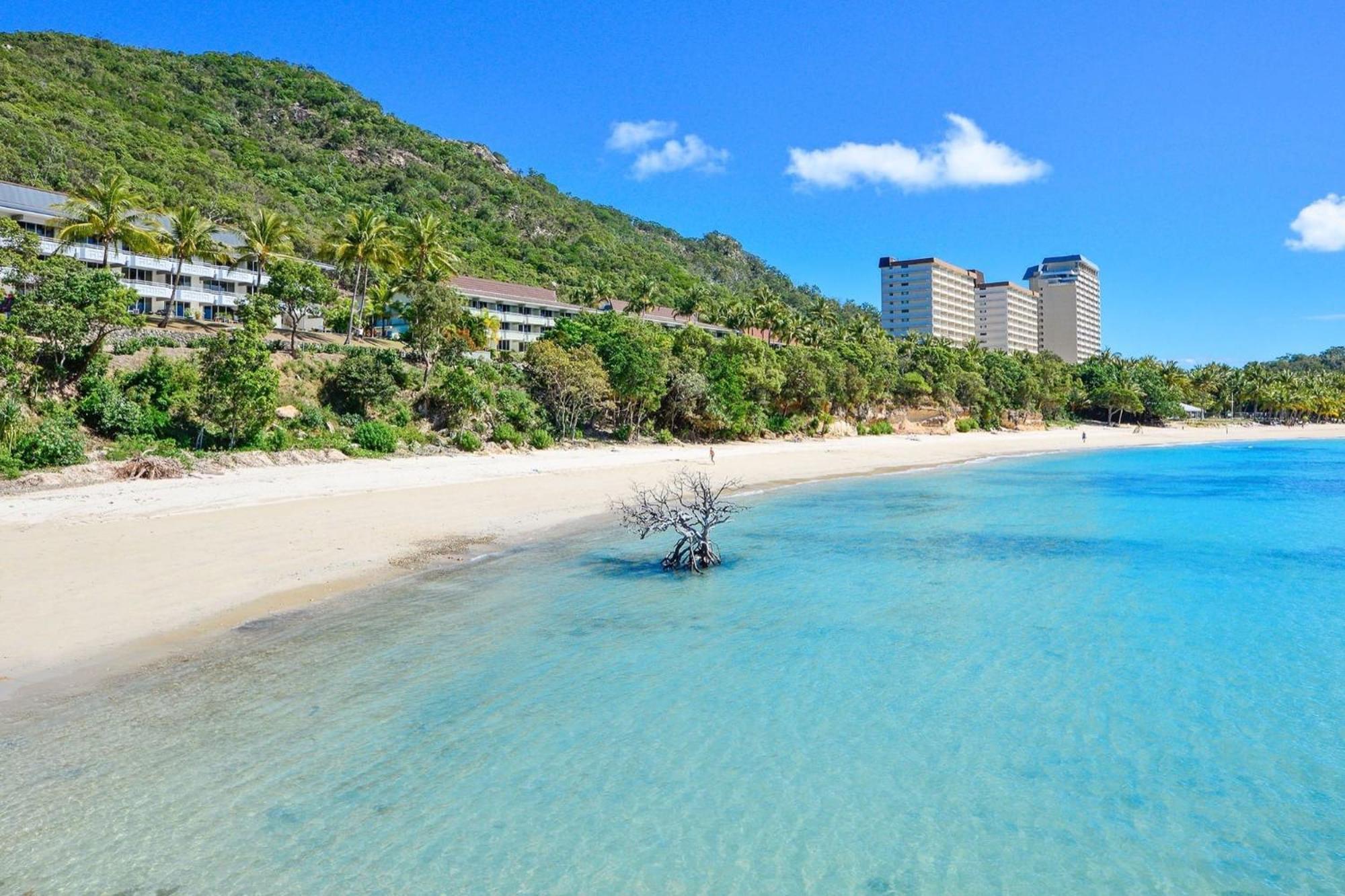 Beachfront Hamilton Island Exteriör bild