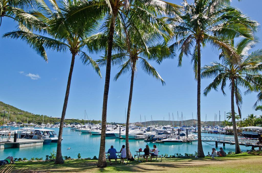 Beachfront Hamilton Island Exteriör bild